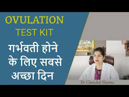 ovulation kit